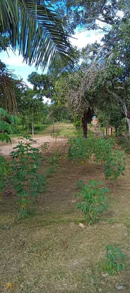 Terreno à venda - Foto 5
