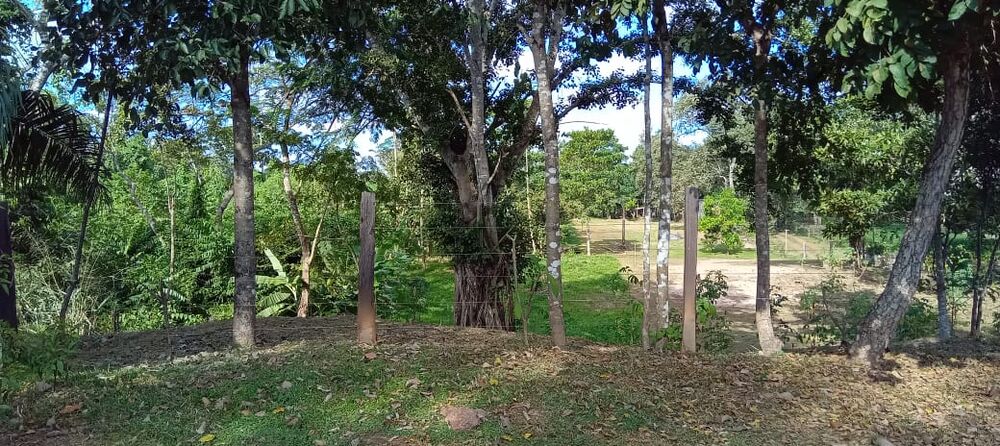 Terreno à venda - Foto 6