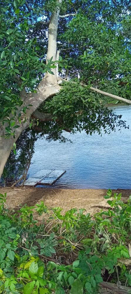 Terreno à venda - Foto 4