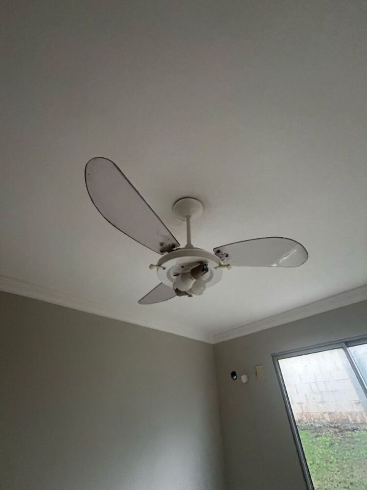 Apartamento para alugar com 2 quartos - Foto 14