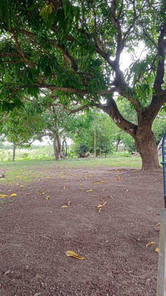 Sítio à venda com 3 quartos - Foto 7