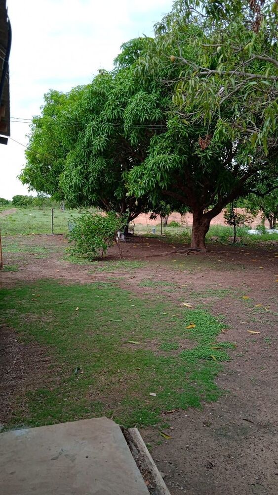 Sítio à venda com 3 quartos - Foto 5
