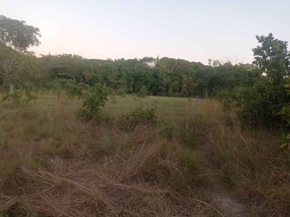 Sítio, 3 quartos - Foto 13