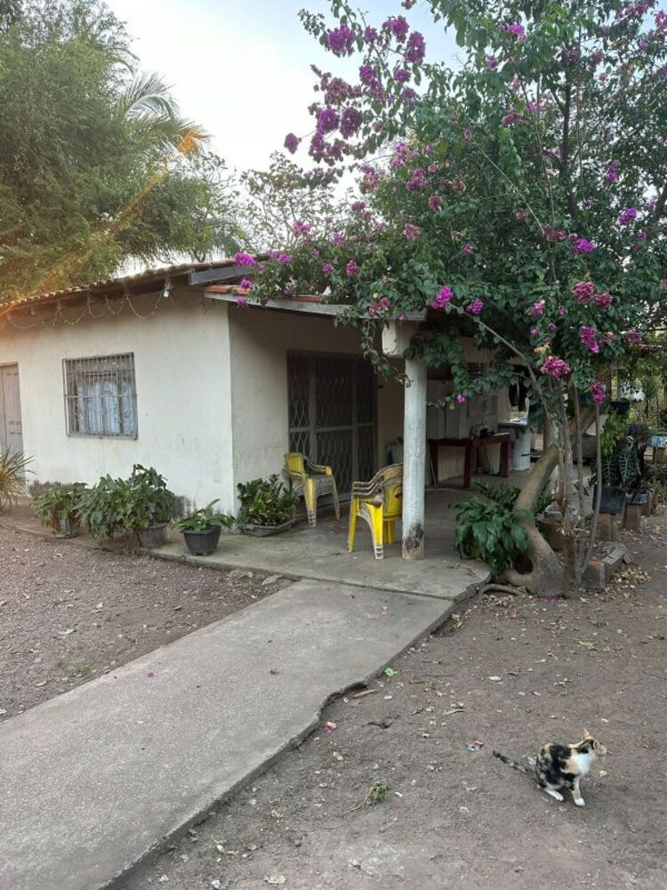Sítio, 3 quartos - Foto 3