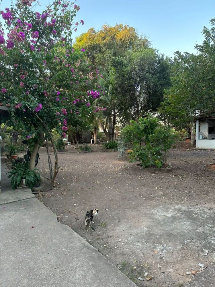 Sítio, 3 quartos - Foto 1