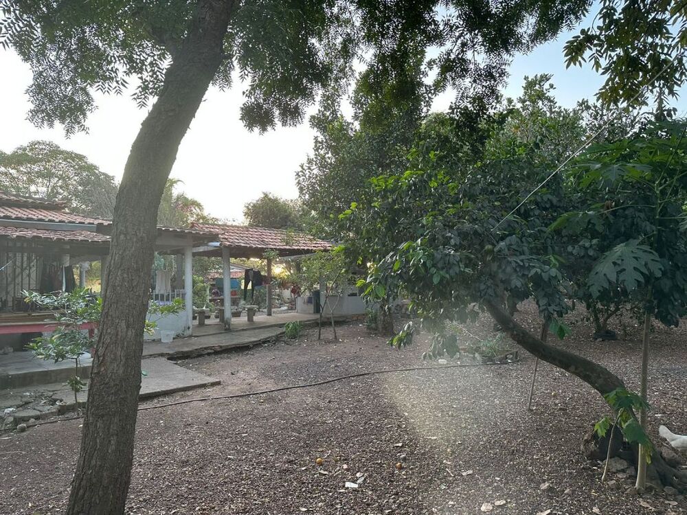 Sítio, 3 quartos - Foto 12