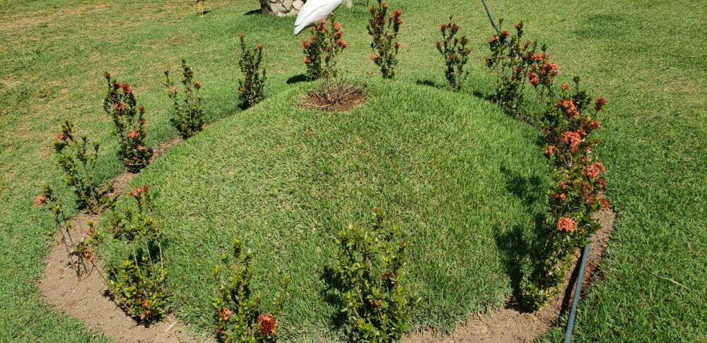 Chácara à venda com 2 quartos, 300m² - Foto 16