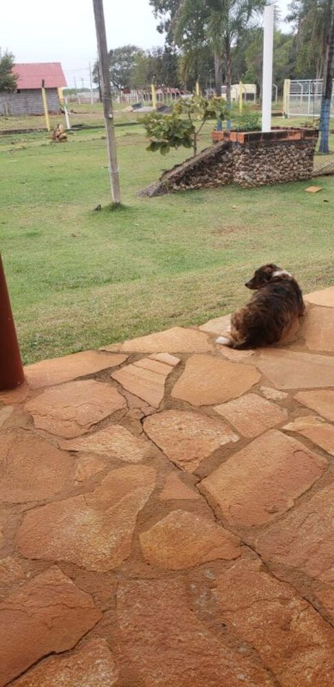 Chácara à venda com 2 quartos, 300m² - Foto 13