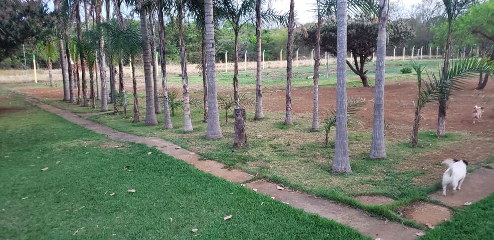 Chácara à venda com 2 quartos, 300m² - Foto 10