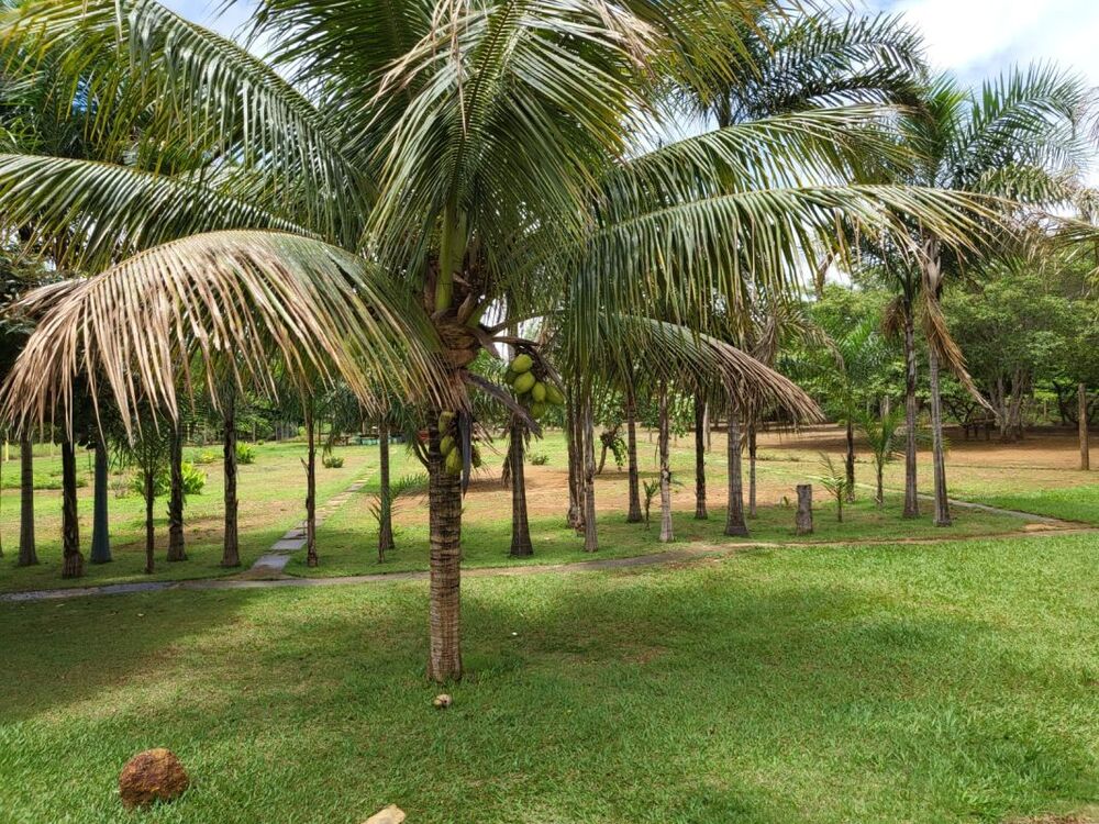 Chácara à venda com 2 quartos, 300m² - Foto 20