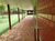 Chácara, 2 quartos - Foto 4