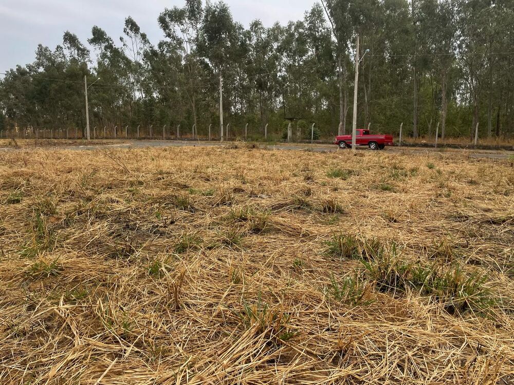 Terreno à venda - Foto 4