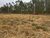 Terreno - Foto 4