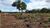 Terreno - Foto 5