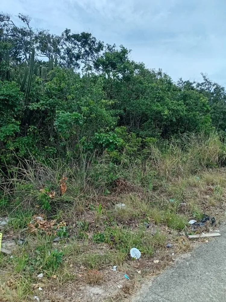 Terreno, 600 m² - Foto 3