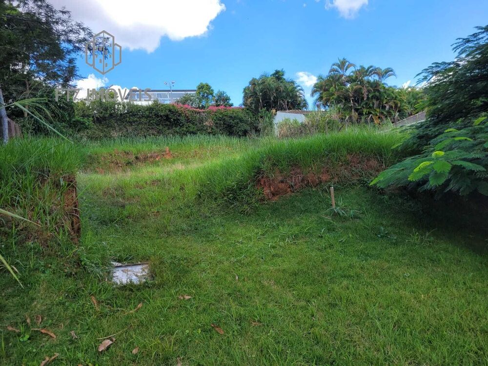 Terreno, 1000 m² - Foto 3