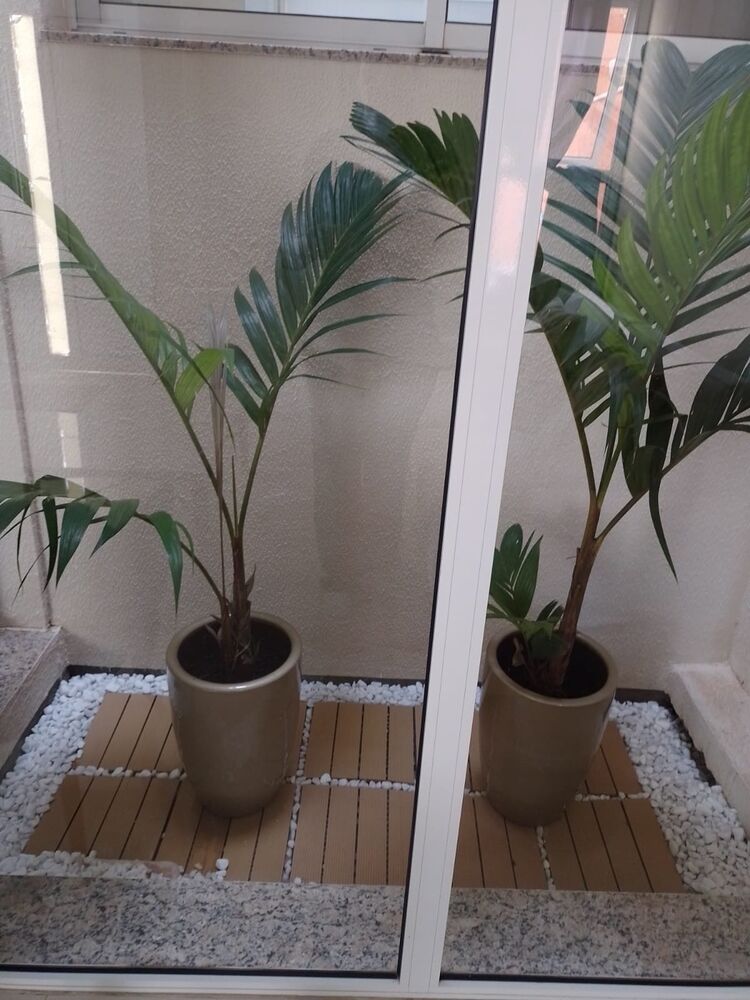 Casa, 3 quartos, 100 m² - Foto 8