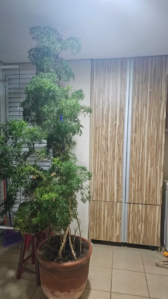 Apartamento, 3 quartos, 84 m² - Foto 2