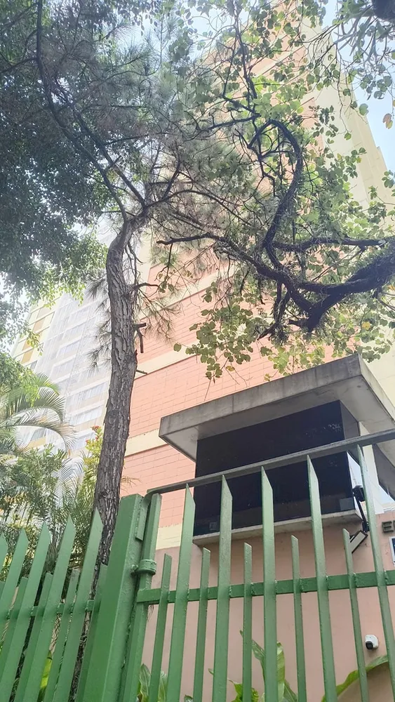 Apartamento, 2 quartos, 110 m² - Foto 3