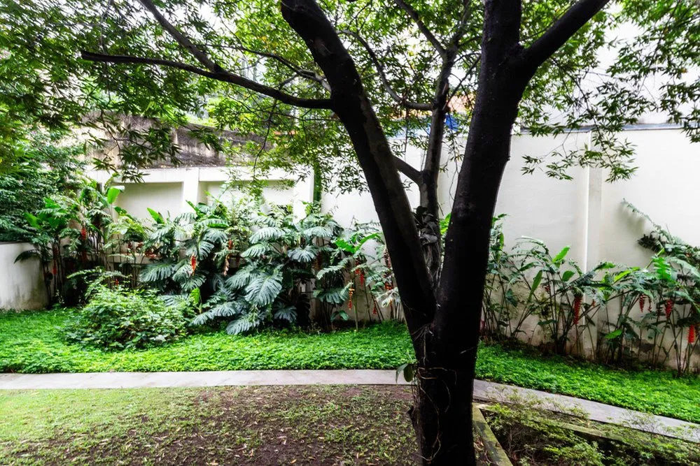 Apartamento, 3 quartos, 76 m² - Foto 4