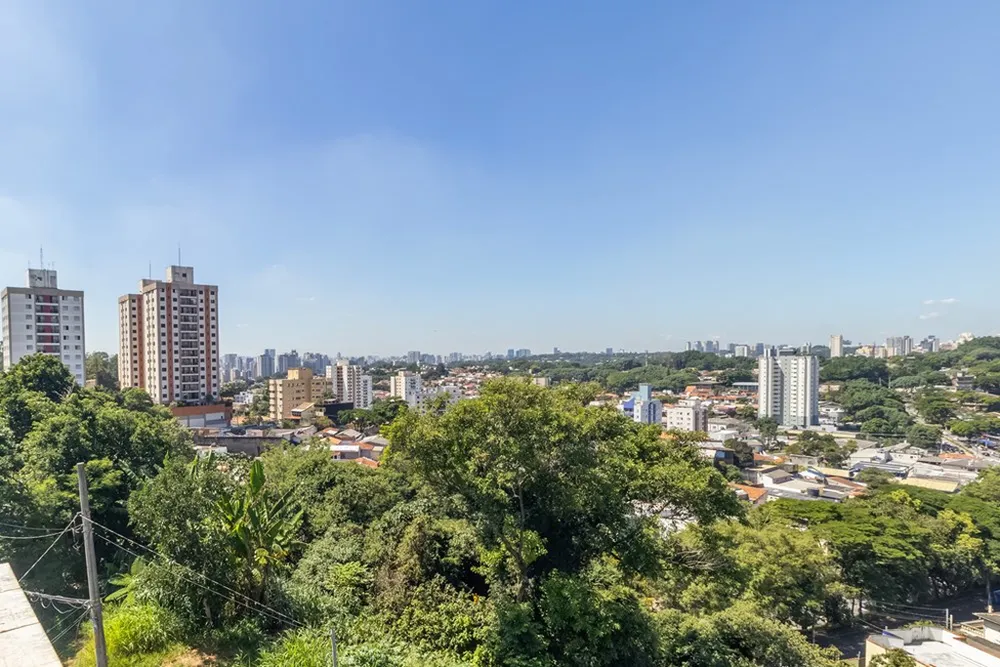Casa, 5 quartos, 500 m² - Foto 3