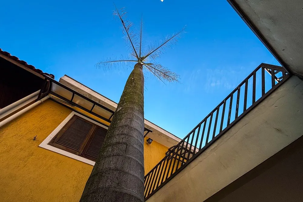 Casa, 3 quartos, 358 m² - Foto 4