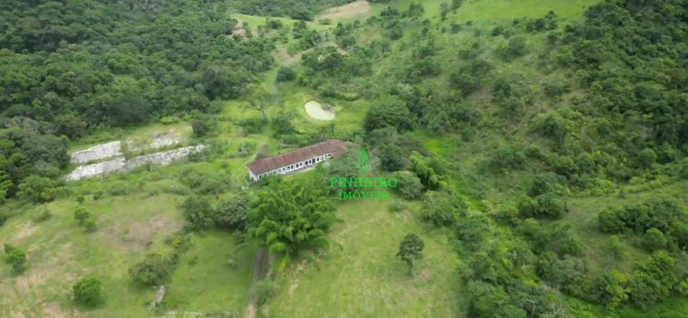 Fazenda, 128 hectares - Foto 15