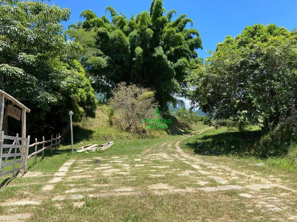 Fazenda, 128 hectares - Foto 27