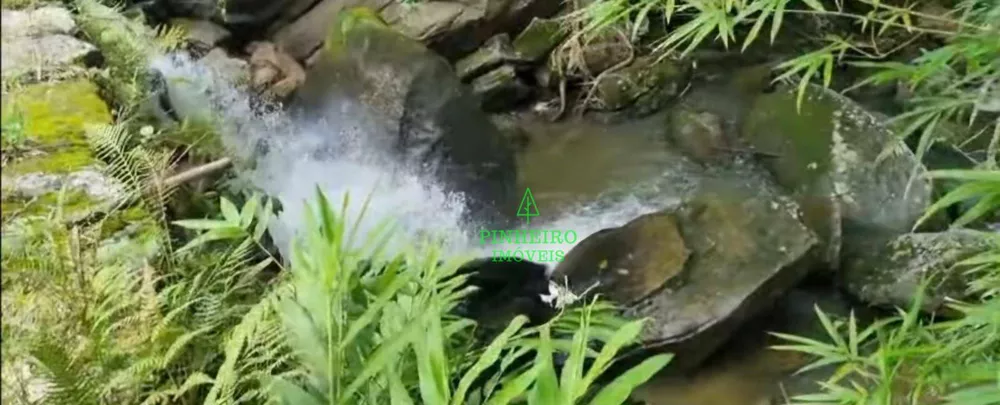 Fazenda, 128 hectares - Foto 23