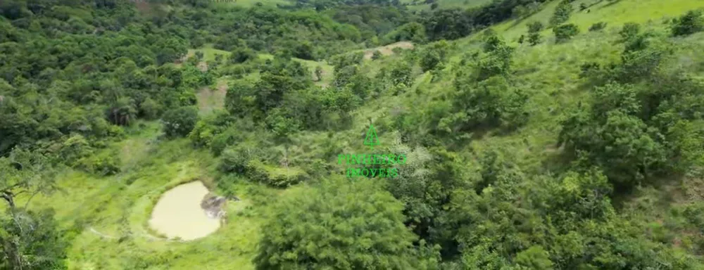 Fazenda, 128 hectares - Foto 19