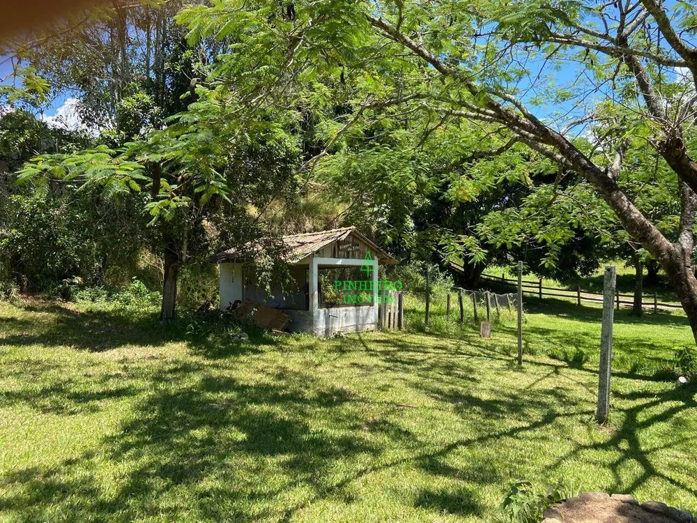 Fazenda, 128 hectares - Foto 7