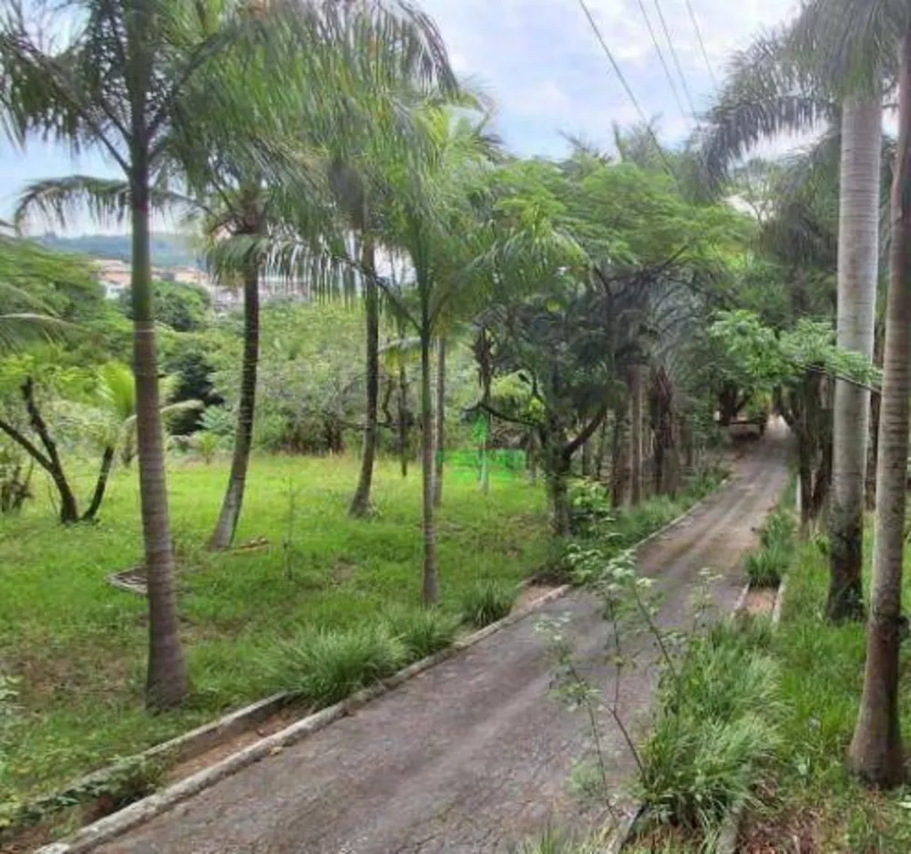 Sítio, 4 quartos, 1 hectares - Foto 46