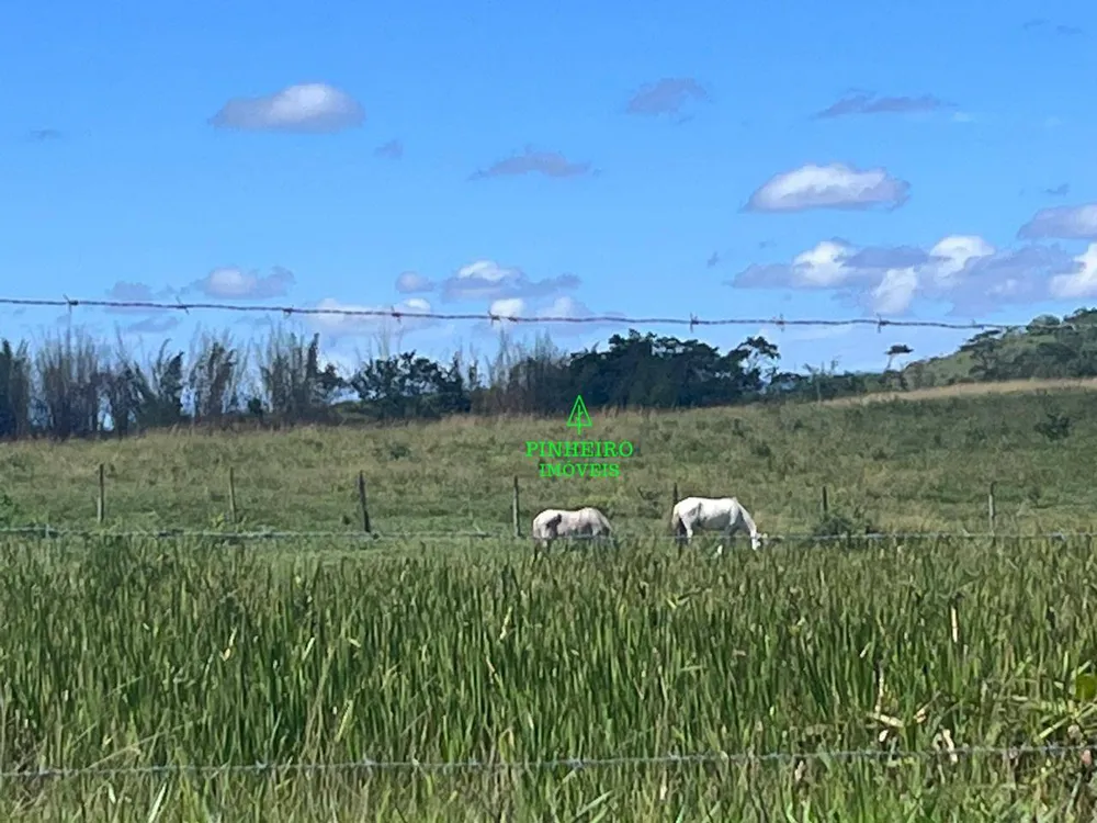 Fazenda, 245 hectares - Foto 10