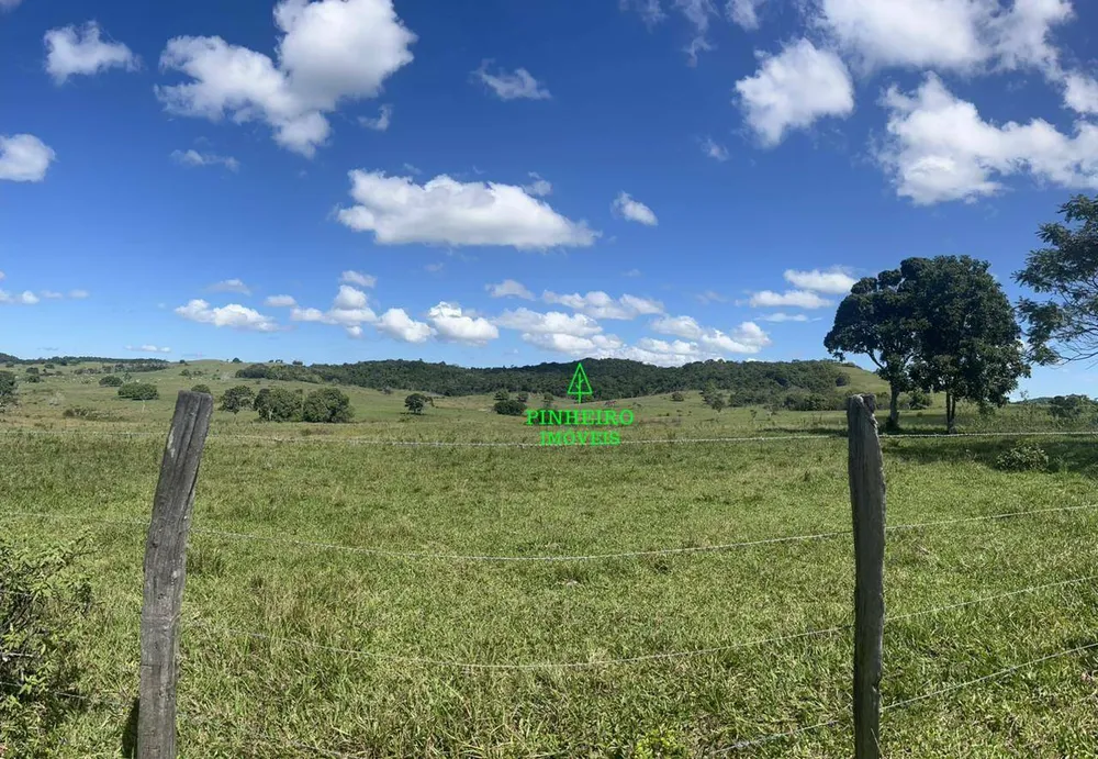 Fazenda, 245 hectares - Foto 11