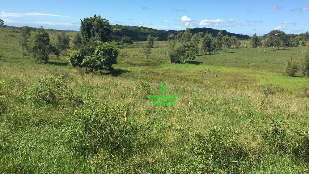 Fazenda, 245 hectares - Foto 2