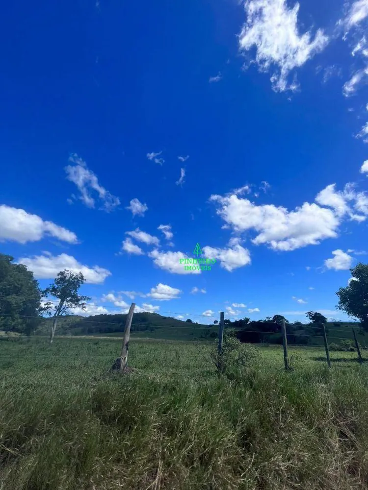 Fazenda, 245 hectares - Foto 15