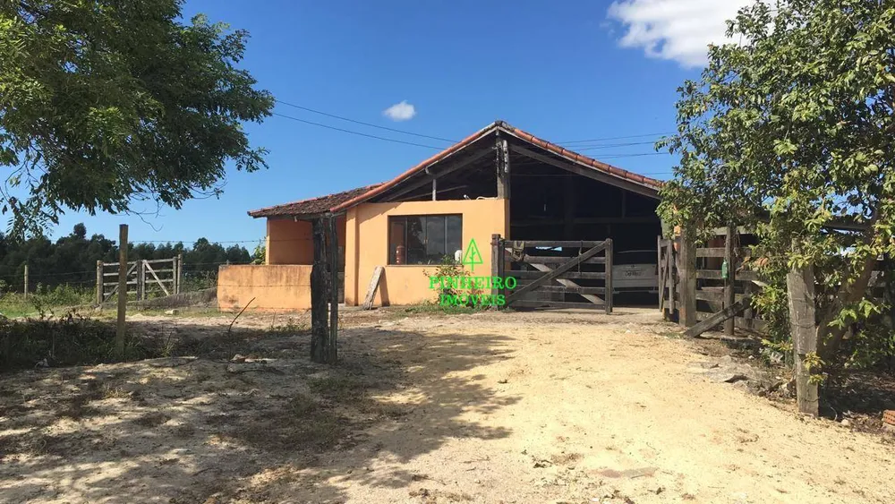 Fazenda, 245 hectares - Foto 1