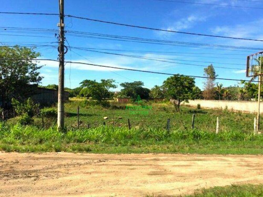 Terreno, 5000 m² - Foto 5