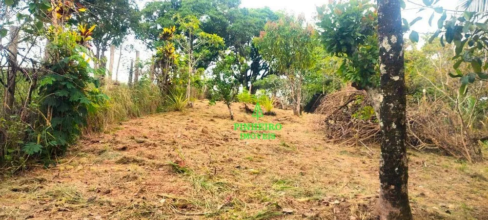 Chácara, 5 quartos, 3200 m² - Foto 18