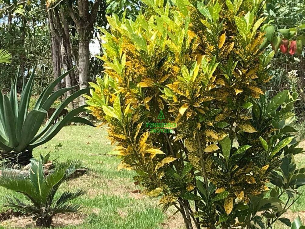 Sítio, 4 quartos, 6700 m² - Foto 3