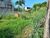 Terreno, 180 m² - Foto 5
