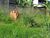 Terreno, 180 m² - Foto 1