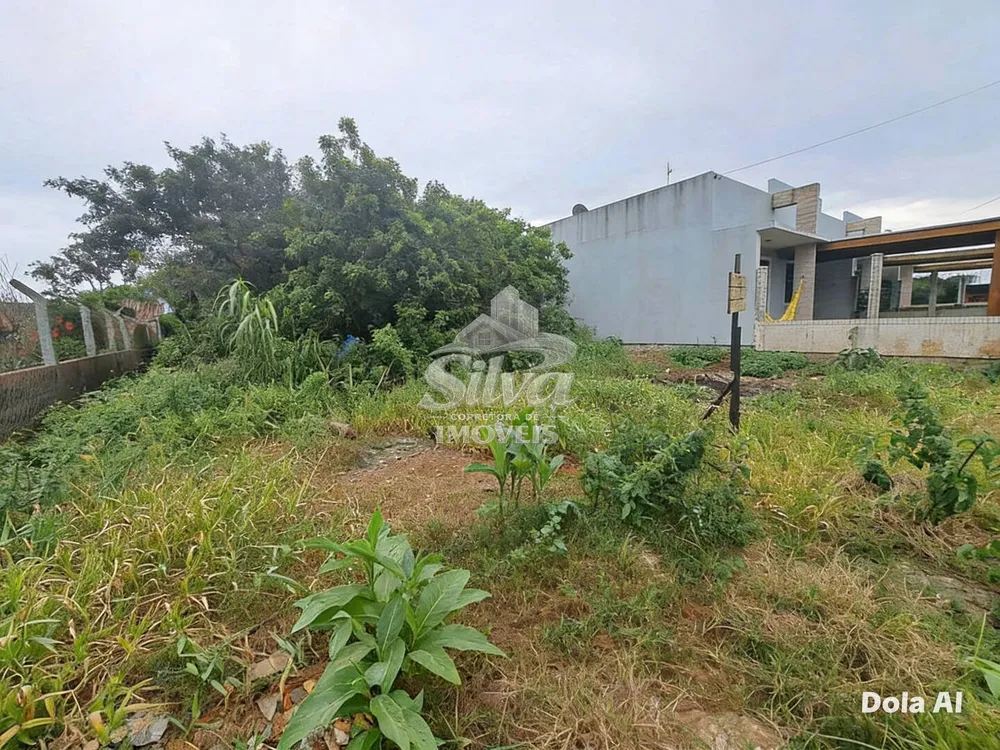 Terreno - Foto 2