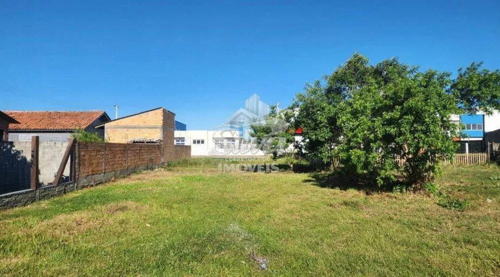 Terreno - Foto 4