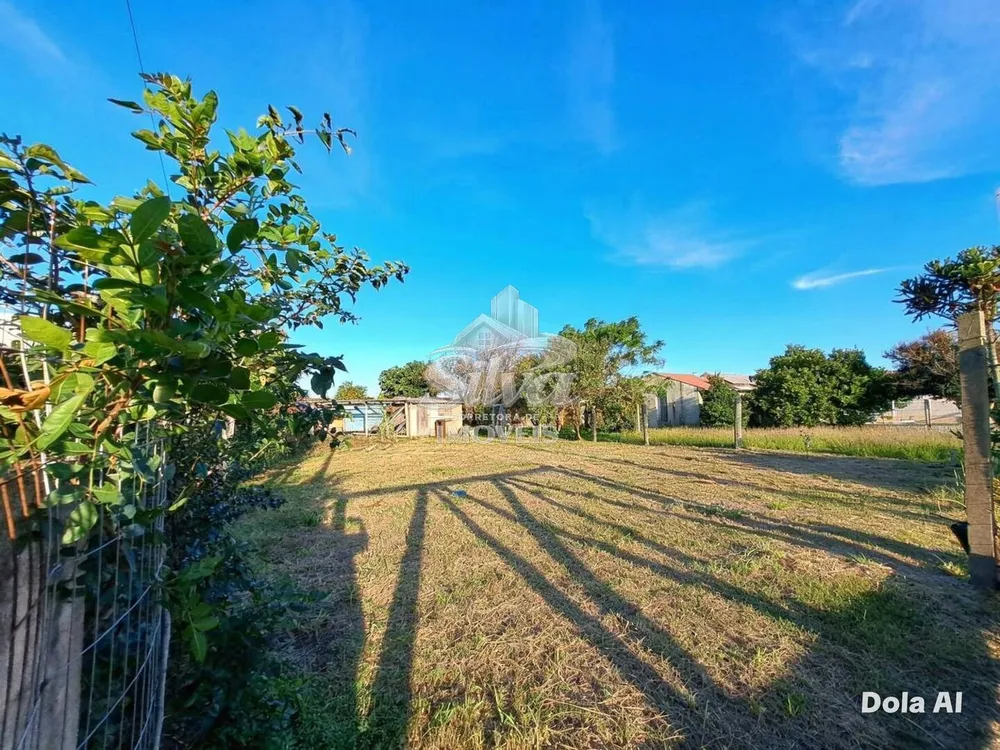 Terreno - Foto 4