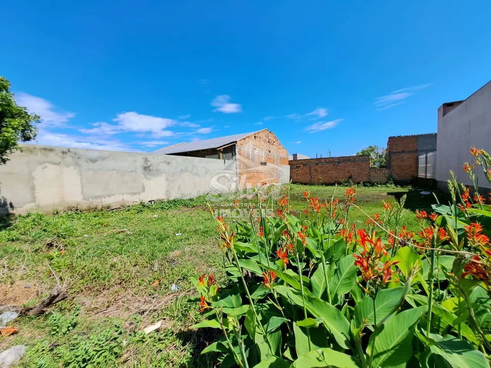 Terreno - Foto 2