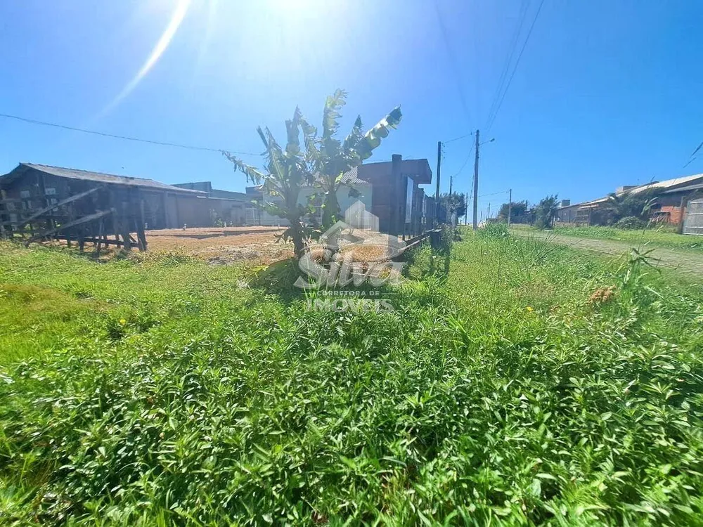 Terreno - Foto 5