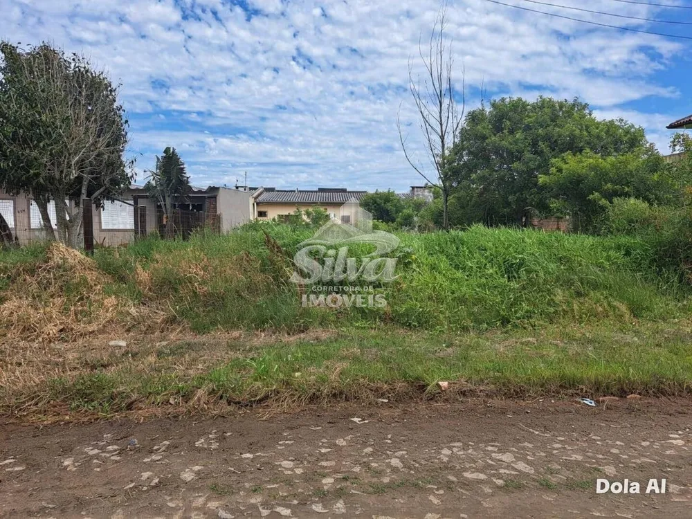 Terreno - Foto 3