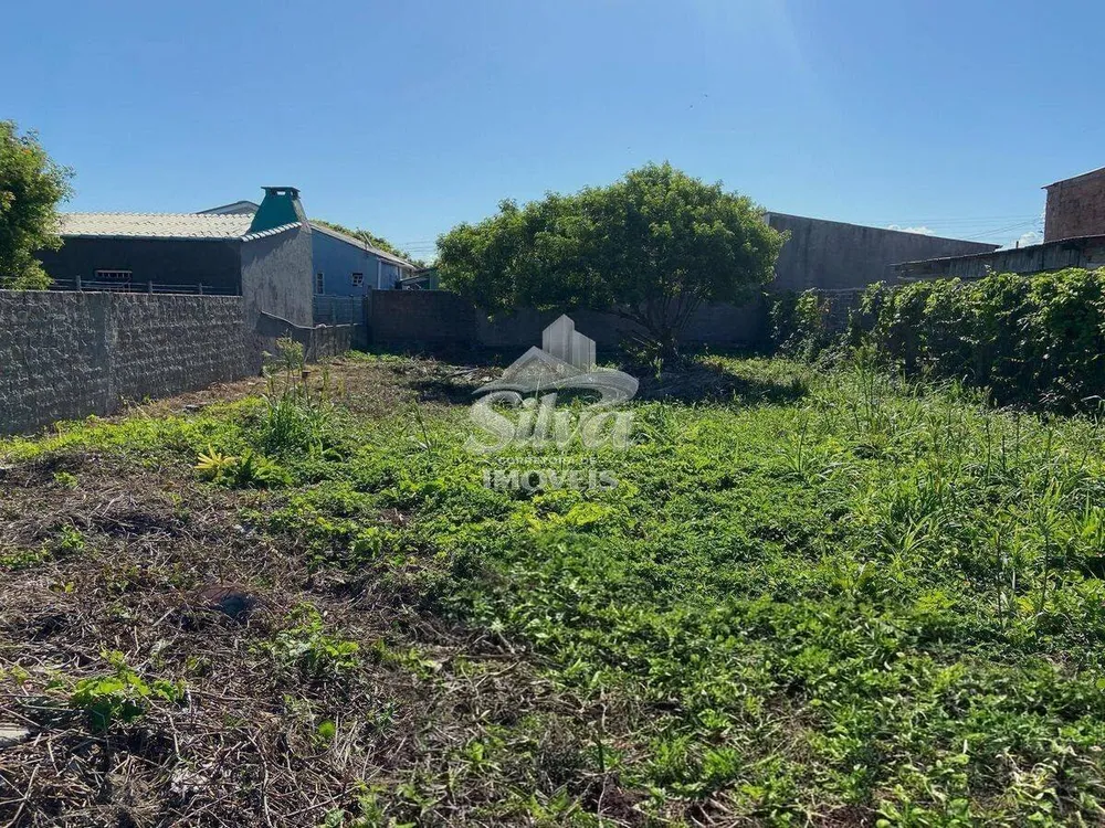 Terreno - Foto 2