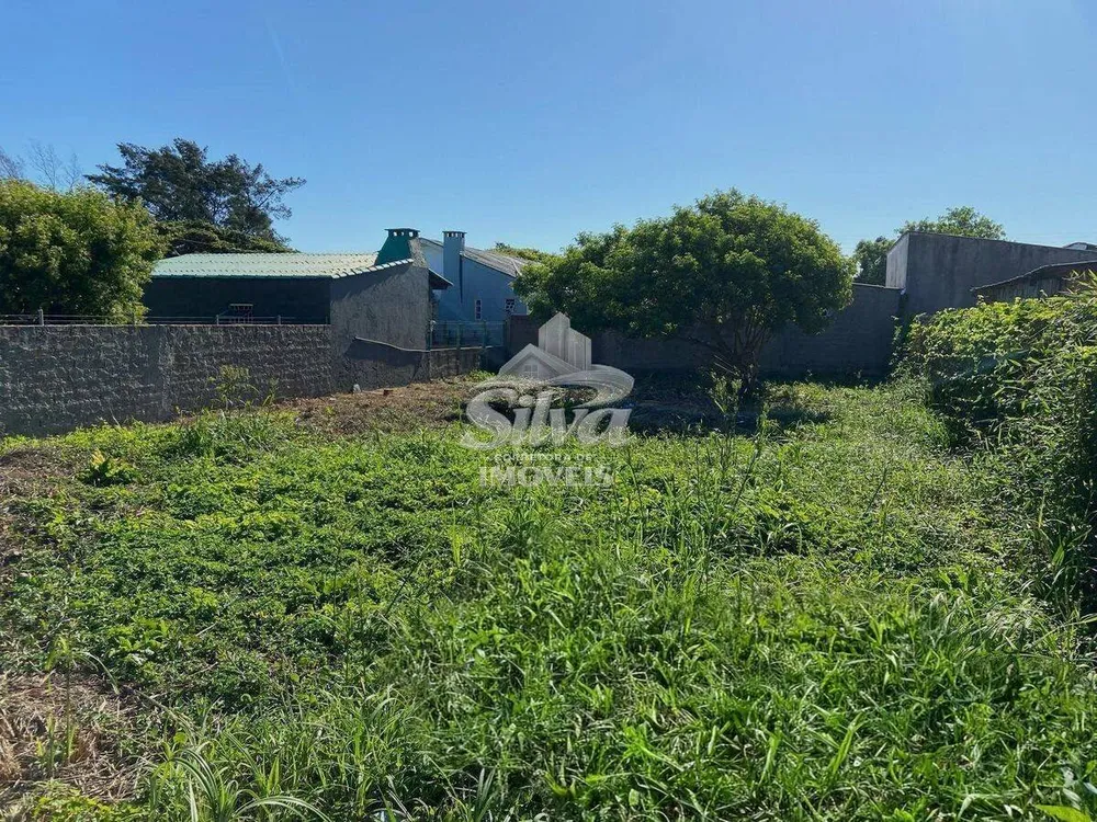 Terreno - Foto 4